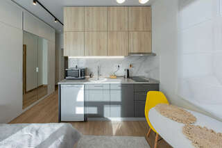 Гостиница Karl House Казань Студия-7